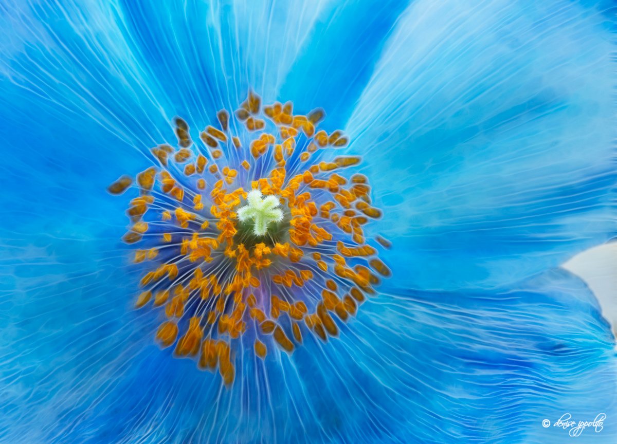 🏞️ 카자아나 - 카미하야시 삼림 공원 (카자아나 - 카미하야시 포레스트 파크) 이미지 6